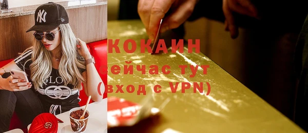 прущий лед Алзамай