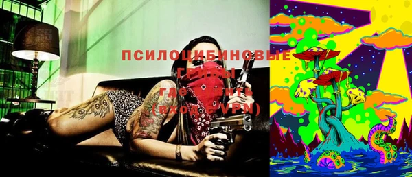 прущий лед Алзамай