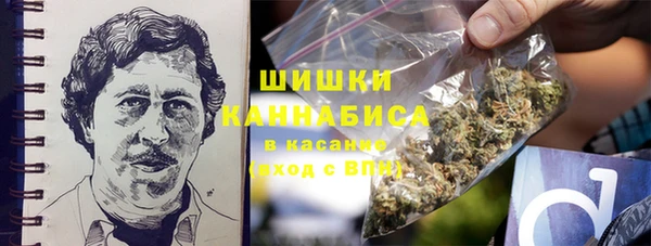 прущий лед Алзамай