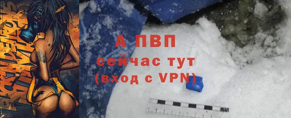 прущий лед Алзамай