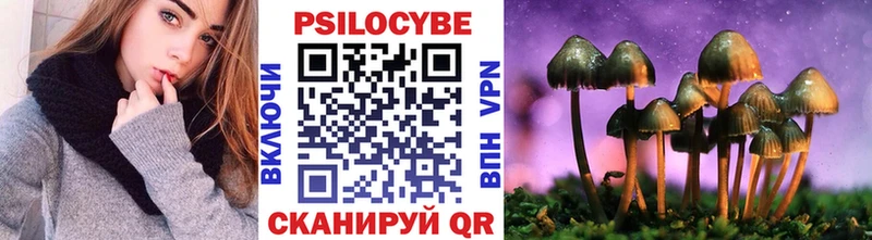 наркота Козловка Псилоцибиновые грибы Psilocybine cubensis